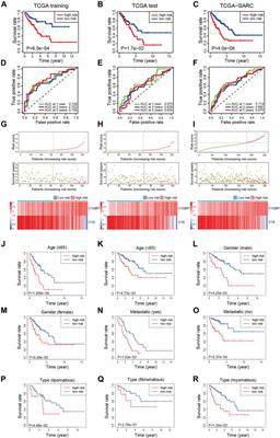 A Complement-Related Gene Signature for Predicting Overall Survival and Immunotherapy Efficacy in Sarcoma Patients